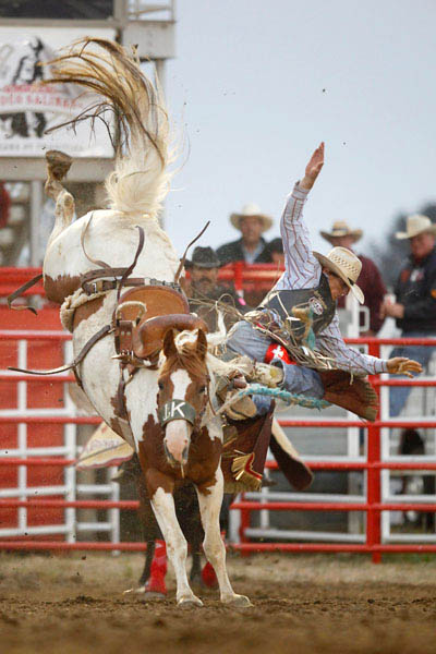 100716_CJ_FRIDAYSRODEO_7332