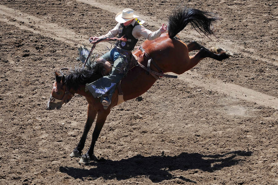 0718_CJ_SUNDAYRODEO_4195